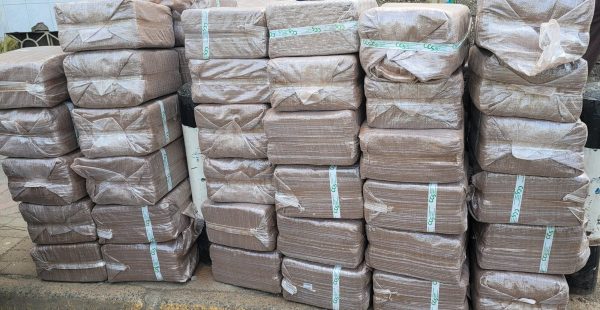 TREATED COCOPEAT BLOCKS 5KG