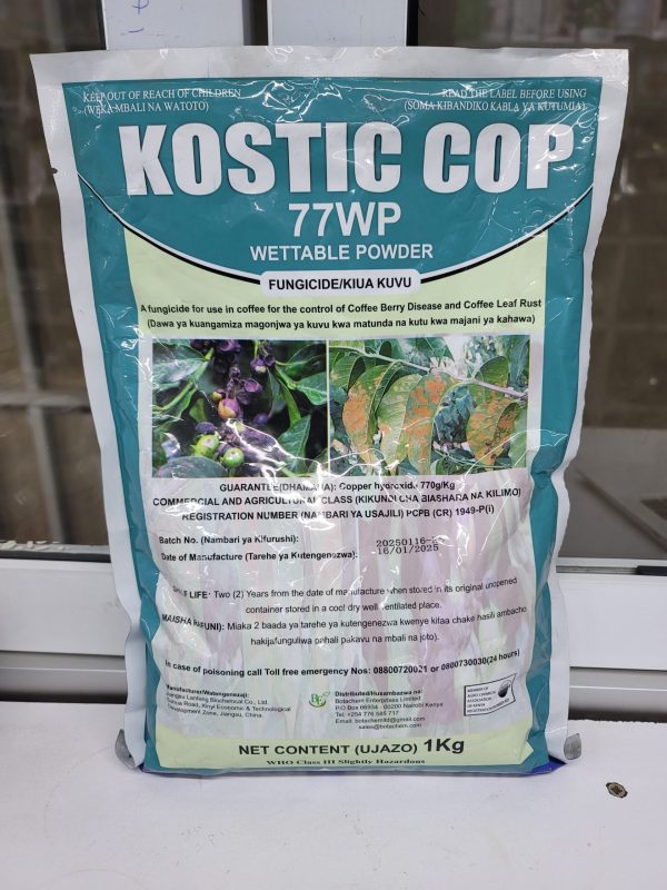 Kostic cop 77WP