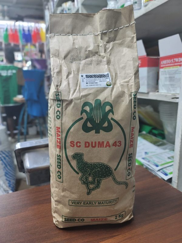 SC DUMA 43 MAIZE 2KG