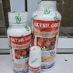 SKYSIL GOLD