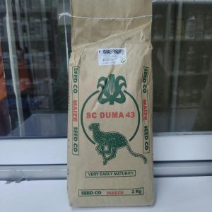 sc-duma-43-maize-2kg SC Duma 43 maize seed 2kg for sale in Kenya