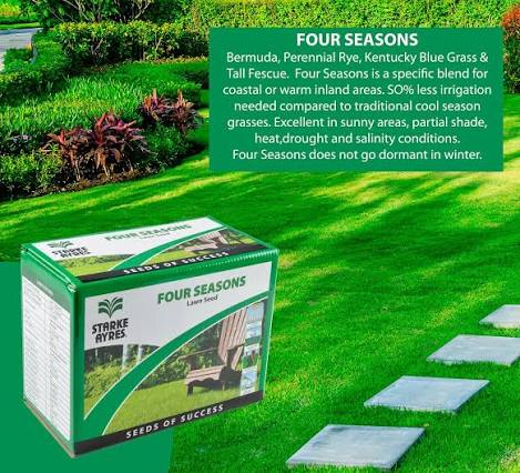 Four Seasons Lawn Grass in Kenya – Quality Lawn Grass Seed for Sale in Nairobi