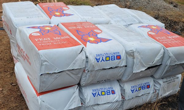 Oboya peatmoss substrate from Baltic (250ltr)