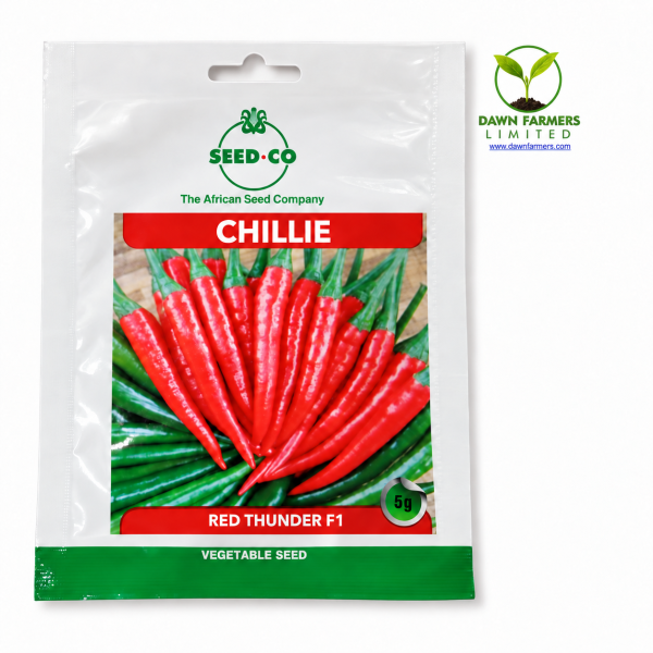 Red Thunder F1 chilli seeds from Seed Co sold by Dawn Farmers Ltd in Kenya